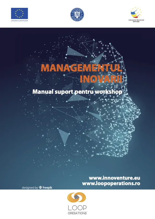 Manual Managementul Inovării (Workshop)
